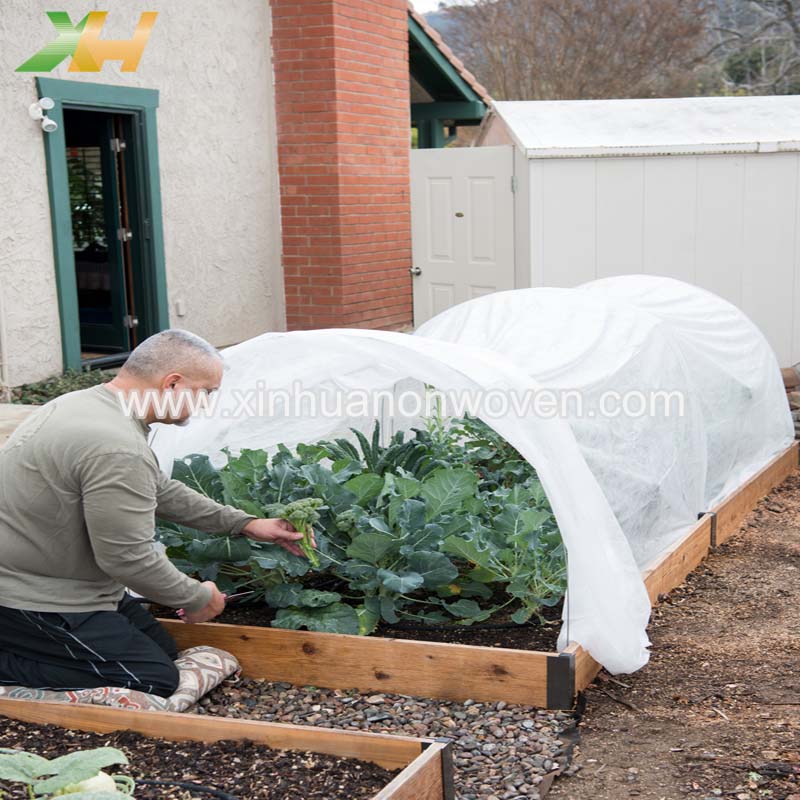 pp spunbond crop cover