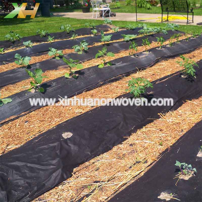 best non woven weed barrier